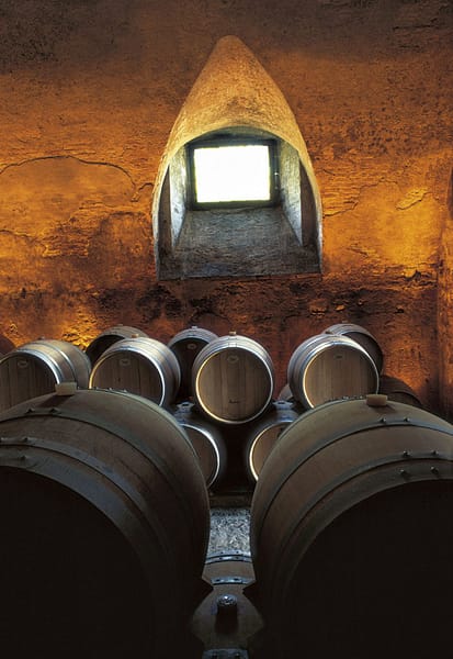 DEGLIDEI1200-Barriccaia-2-705×1024 DEGLIDEI1200-Barriccaia-2-705x1024