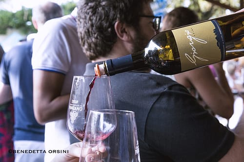 VINOalVINO201820180915_0978 VINOalVINO201820180915_0978