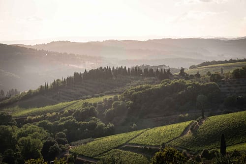 _DSC9930-(2) _DSC9930-(2)