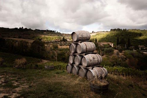 _DSC9959-3 _DSC9959-3