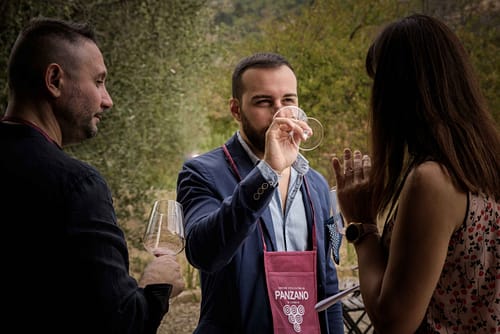 _DSC9986-2 _DSC9986-2