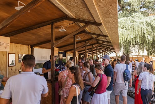 Vino_al_vino_2025_18 Vino_al_vino_2025_18