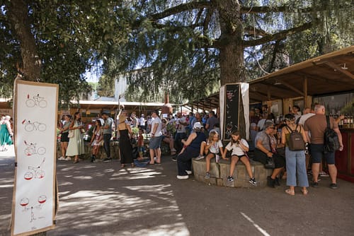 Vino_al_vino_2025_29 Vino_al_vino_2025_29