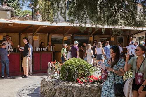 Vino_al_vino_2025_30 Vino_al_vino_2025_30