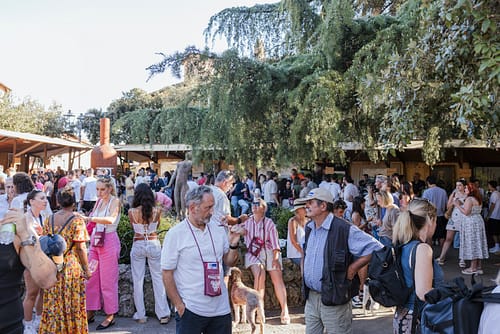 Vino_al_vino_2025_61 Vino_al_vino_2025_61