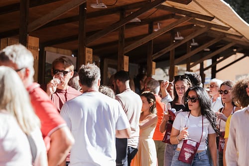 Vino_al_vino_2025_62 Vino_al_vino_2025_62