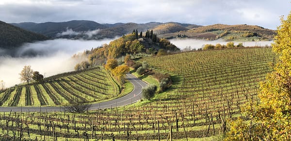 MONTEBERNARDI-chiantigiana MONTEBERNARDI-chiantigiana