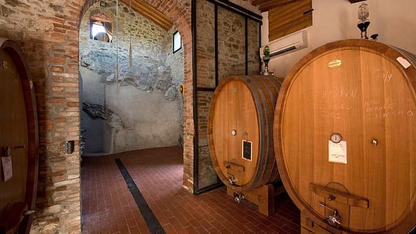 MONTEBERNARDI-1200_8003343-1024×576 MONTEBERNARDI-1200_8003343-1024x576