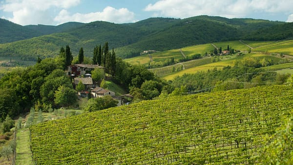 MONTEBERNARDI-1200_8007238-1024×576 Monte Bernardi