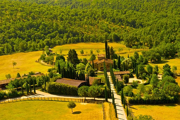DEGLIDEI_aziende Tenuta Degli Dei