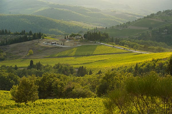 LAMASSA_aziende LAMASSA_aziende