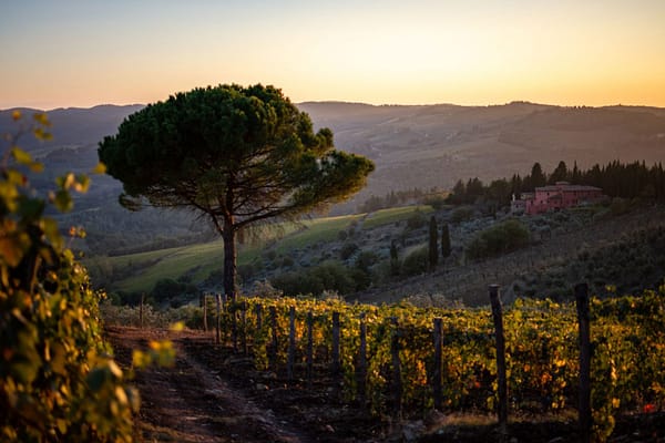 PALAGIOvilla-featured-1568×1046 PALAGIOvilla-featured-1568x1046