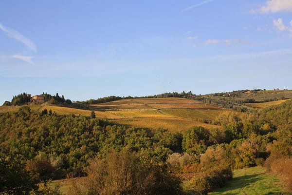 rampolla-IMG_0099 rampolla-IMG_0099