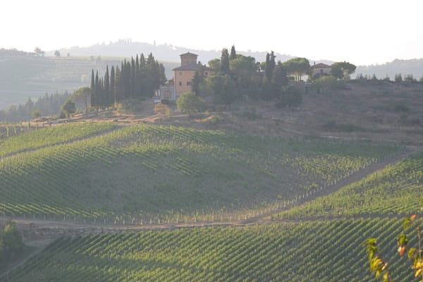 rampolla-S-Lucia rampolla-S-Lucia