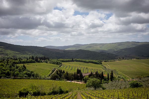 CENNATOIO-Unione-Panzano_bassa-53 CENNATOIO-Unione-Panzano_bassa-53