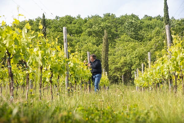 Panzanello-Unione-Panzano_bassa-1331 Panzanello-Unione-Panzano_bassa-1331