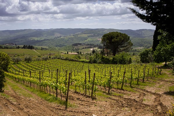 RENZO-MARINAI-Unione-Panzano_bassa-128