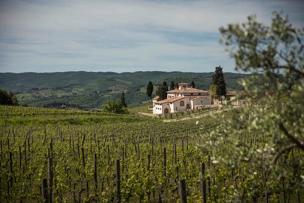 Panoramica-Tenuta Casenuove Panoramica-Tenuta Casenuove