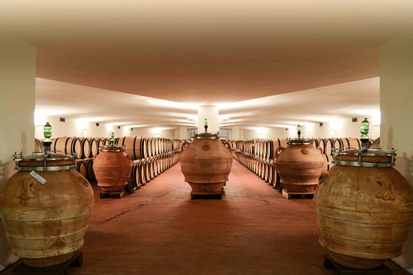 fontodi_cellar_h fontodi_cellar_h